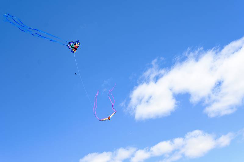 Kites take flight on Sunday, May 18, 2025 during the 5th Annual Kites in Flight festival.