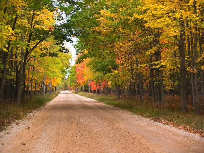 Oswego Chamber of Commerce - Fall sponsorship opportunities in the chamber