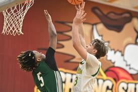 Photos: Providence Catholic vs. Plainfield Central, WJOL boys basketball tournament