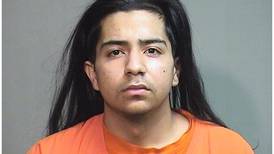 Lake in the Hills man accused of possessing defaced guns and ammo pleads guilty, gets prison time