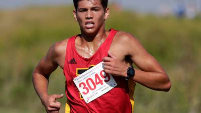 Boys Cross Country: Kane County Chronicle team-by-team preview capsules