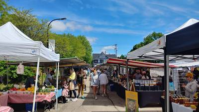 Farmers markets are back in season in Kane County 