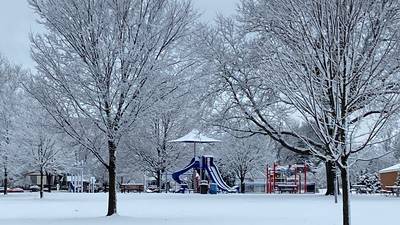 Photos: Snow falls on McHenry County