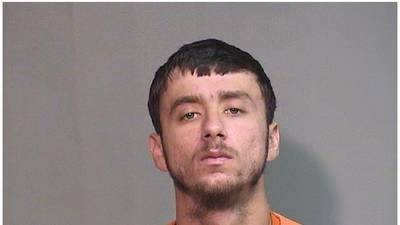 Wauconda man pleads guilty after Crystal Lake police find drugs, ammunition during traffic stop