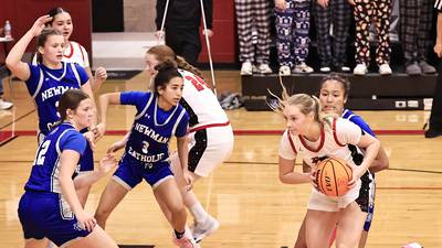 Newman girls basketball beats scrappy Erie-Prophetstown 38-22