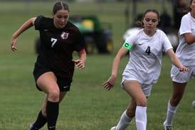 Photos: Prairie Ridge vs. Crystal Lake South, Class 2A Crystal Lake Central Regional semifinal
