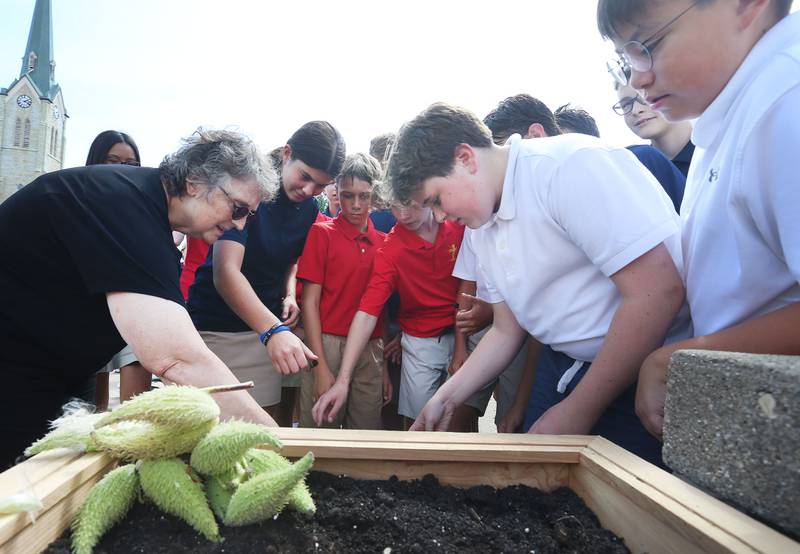 Cindy Pasieka (left) of the Peru Historical Society, teaches students at Academy of Saint Carlo Acutis how to plant wildflower seeds on Friday Aug. 29, 2025 in Peru. Debo Ace Hardware also donated supplies.