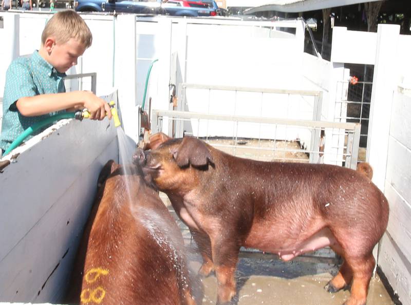 Brazson Boe of Ottawa, washes his pigs off before showing them during the La Salle County 4-H Fair on Friday, July 14, 2023 in Ottawa.