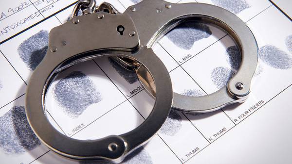 Four accused of stealing merchandise from three DuPage County businesses: authorities