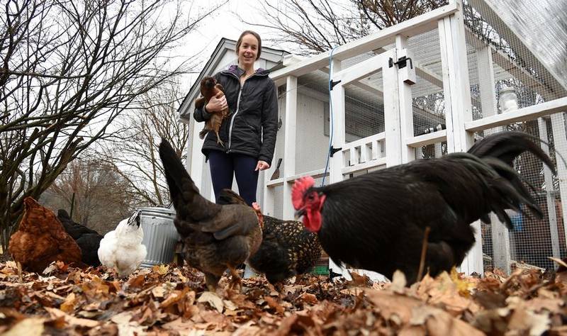 Rachel Johannsen of Dundee Township and her family have been raising chickens in their backyard for almost two years. While the price of eggs is soaring, she says the cost of building a coop and a run, plus monthly expenses like feed, means it will take years to recoup costs.