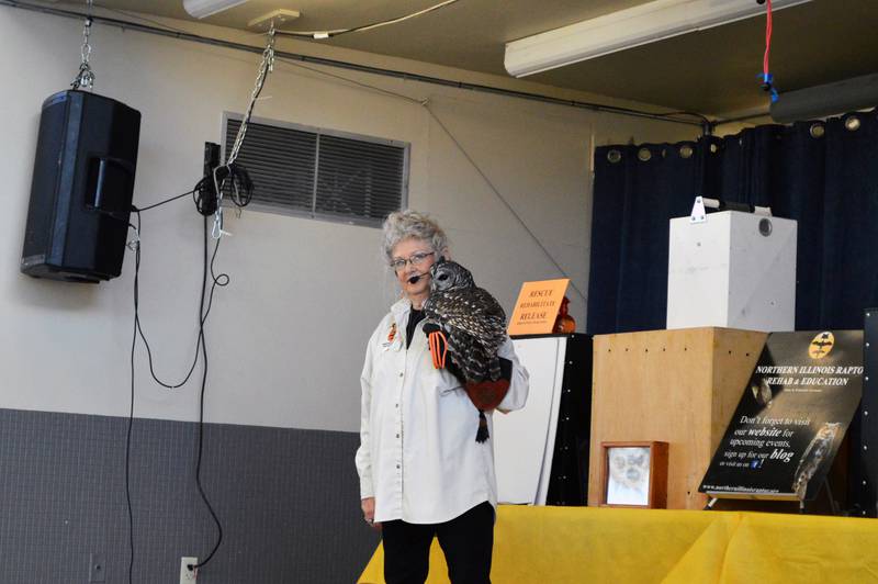 A barn owl cuddles with Candy Ridlbauer, CEO of Northern Illinois Raptor Rehab & Education, during a presentation at the Rock Falls Community Center on Saturday, Feb. 10, 2024.