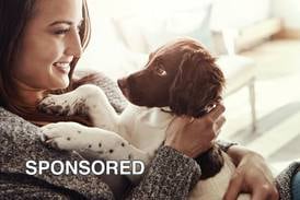 Celebrate Adopt a Shelter Dog Month With These Tips