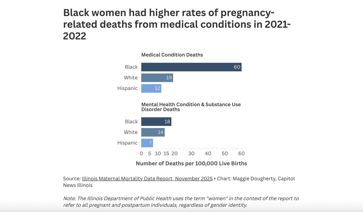 Illinois Maternal Mortality Data Report, November 2025