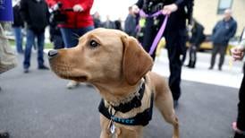 Photos: Kane County Chronicle Week in Pictures for April 21-27