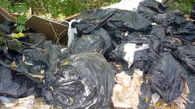 Fly dumping citations in Cook County Forest Preserves will cost $750