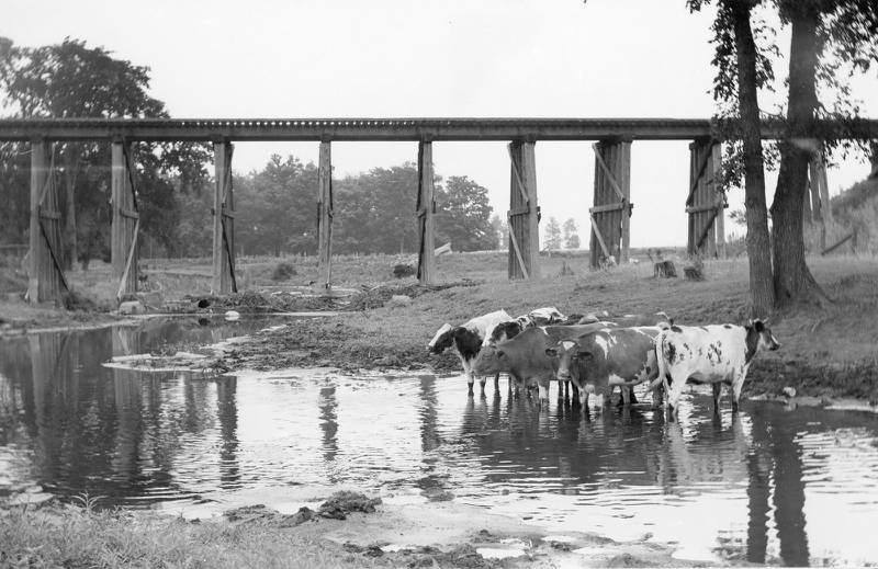 Milwaukee, St Paul, and Pacific railroad trestle across the Kishwaukee River east of First Street north of DeKalb, circa 1935. Today the site is a part of the DeKalb Nature Trail.