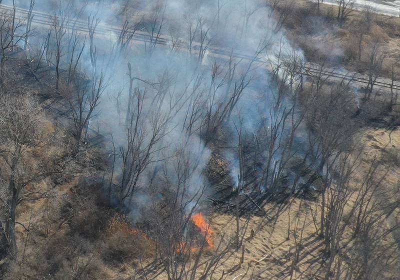Flames burn timber about 1/2 mile south of the Illinois Route 26 and Interstate 180 intersection on Tuesday, Feb. 10, 2026 near Princeton. A Mutual Aid Box Alarm (MABAS) was dispatched around 12:30p.m. Bureau County Fire departments from Bureau, Ladd, Wyanet, Princeton, Hennepin and others assisted with the brush fire.