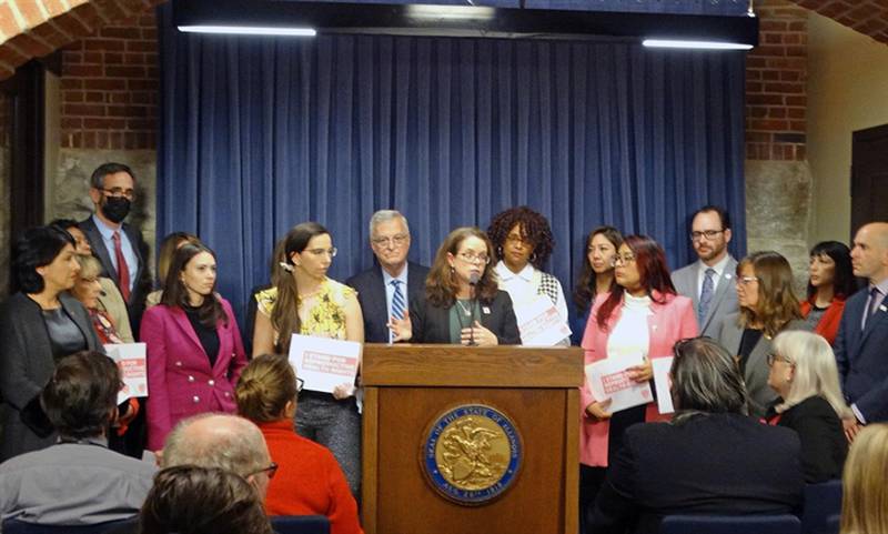 Illinois House Democrats outline their recent actions which they say support reproductive health rights in Illinois