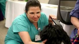 Photos: Nurses celebrated at Northewestern Medicine Delnor Hospital in Geneva