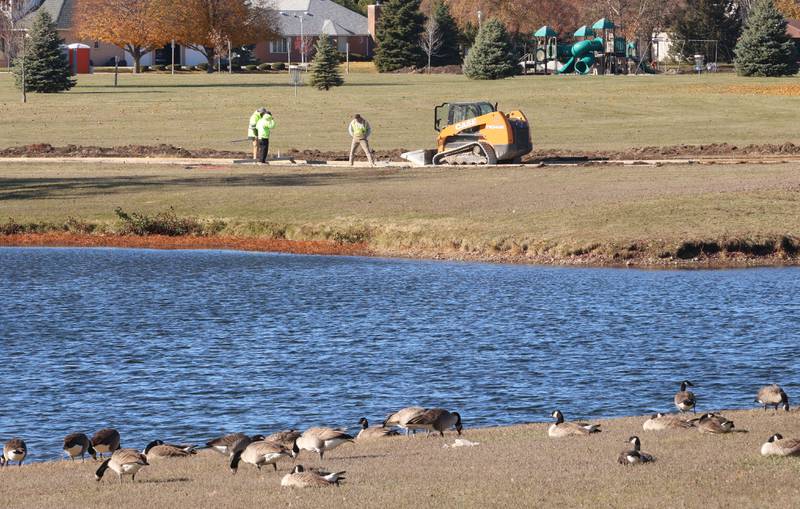 Crews with Gillian Construction repair the walking path as Canada geese walk around Baker Lake on Monday, Nov. 10, 2025 in Peru. The walking path is nearly half poured. It's been one-month since construction began. Work includes a 10-foot wide concrete path with secondary concrete paths also added, connecting with the new parking lot near Lighted Way and connecting with the parking lot, playground, and shelter on the west side of Baker Lake. The new path will be wider by 2 feet than the current one. The park remains closed to the public. The project will be completed in early December.