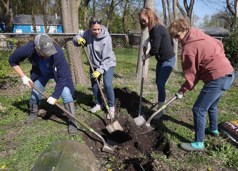 Colleen Parks, (L-R) clincal director at Elder Care Services, Tara Russo, executive director at Elder Care, along with volunteers Katlynn Lee and Elaine Davis dig a hole for a tree Tuesday, April 21, 2026, during the event at Elder Care Services in DeKalb. Several trees were planted at the location to kick off the DeKalb Township’s 250 Trees for Tomorrow initiative.