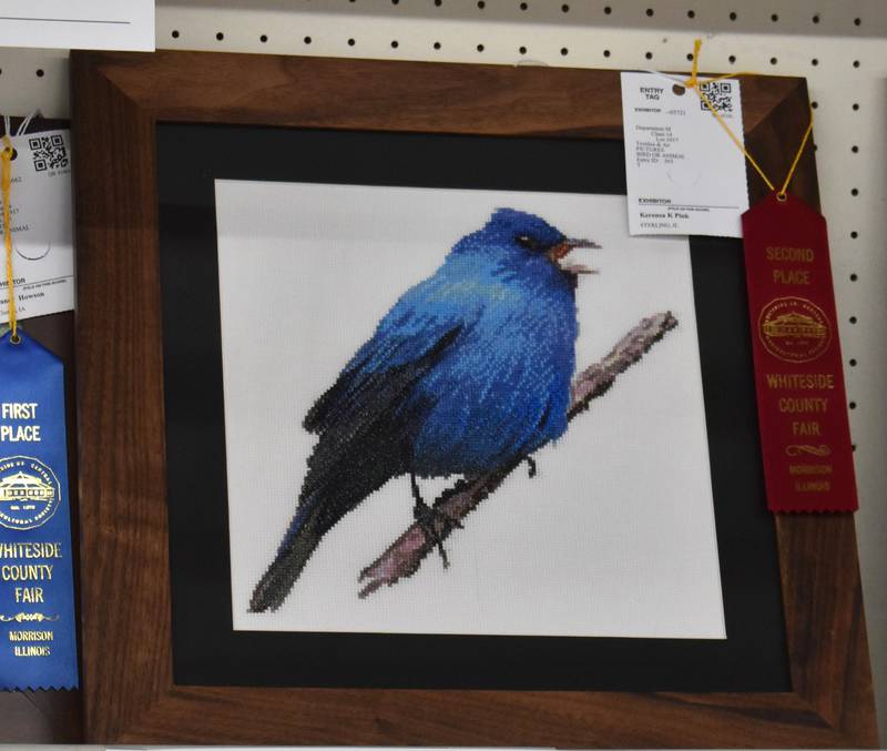 One of the cross stitch winners at the Whiteside County Fair was this bluebird entry by Kerensa Pink of Sterling.