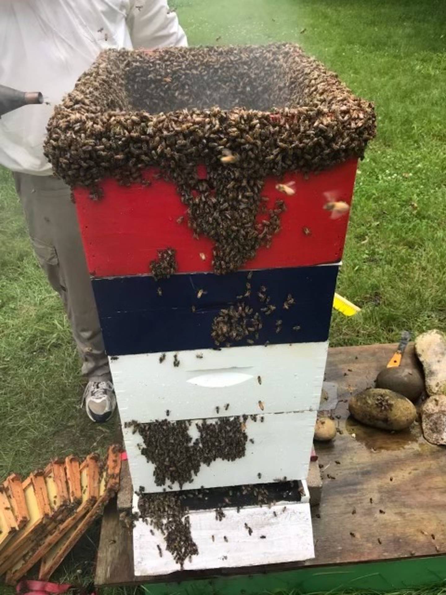 “Local honey is supposed to help with allergies and if you have a sore throat you can take it for cough medicine. I eat a lot of honey- I probably have a peanut butter sandwich with honey on it three or four days a week,” Lawson said.