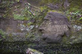 Indian Head carving found in Franklin Creek State Park