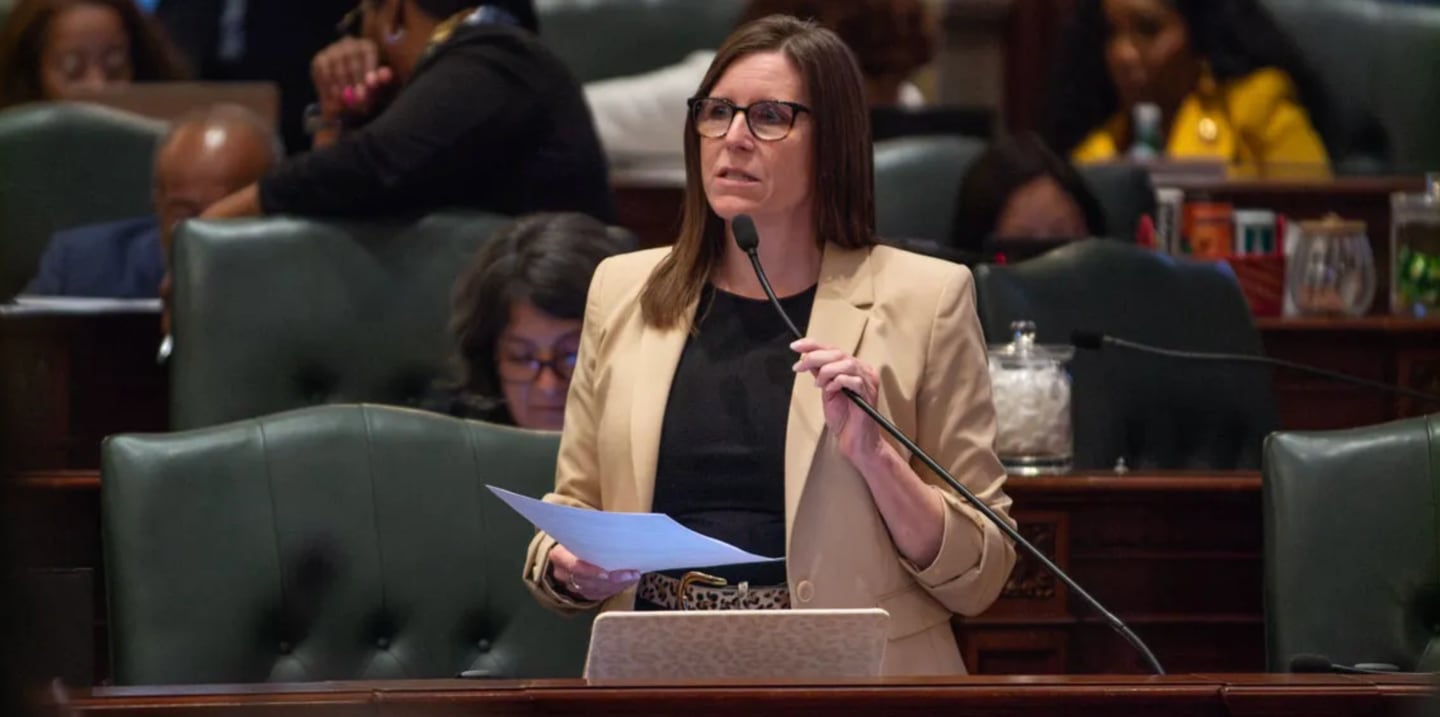 State Rep. Ann Williams, D-Chicago, speaks in favor of a megaprojects bill on the Illinois House floor on April 22, 2026.