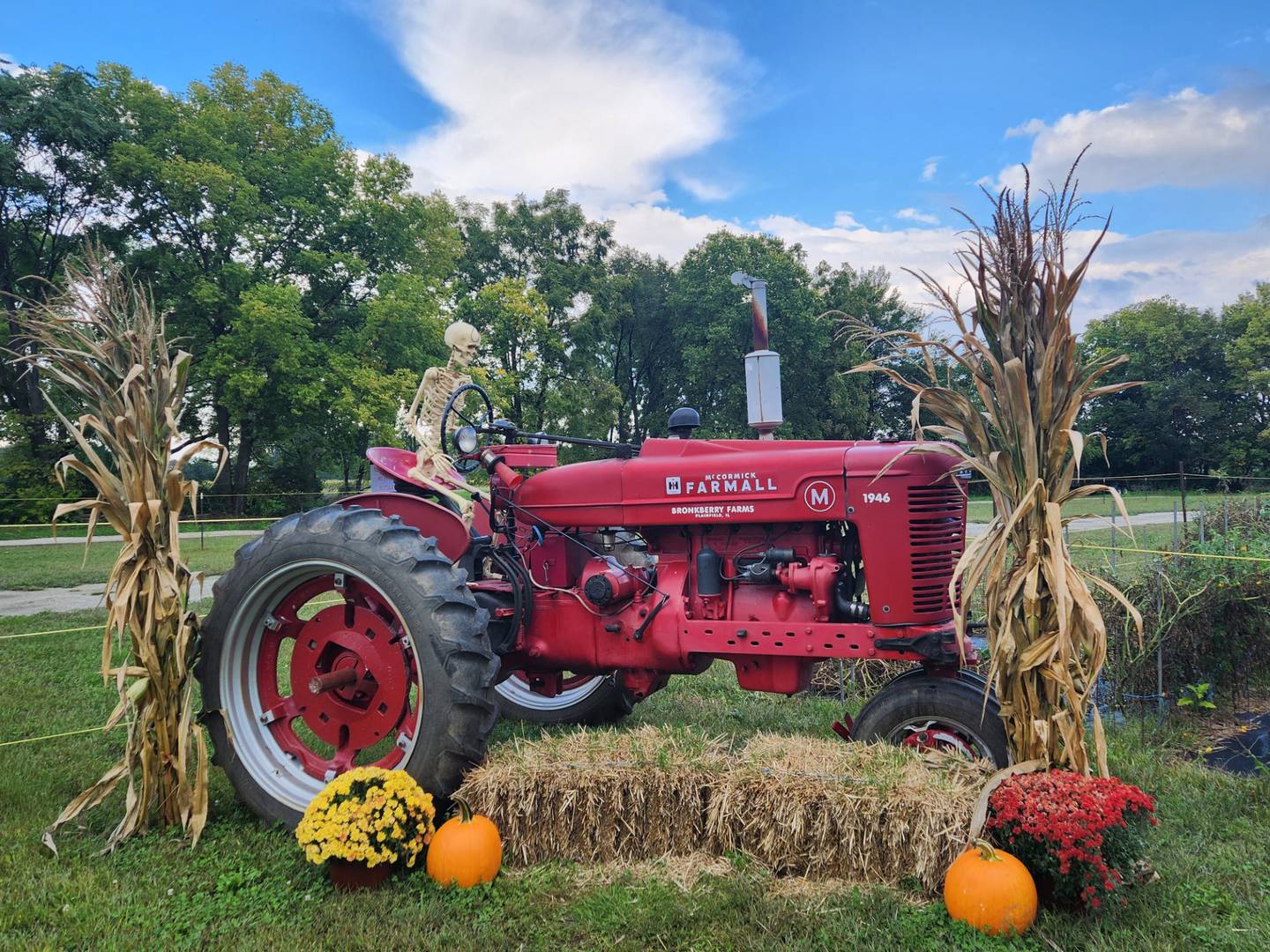 Dave and Audrey Appel of Plainfield donated this display. of a skeleton on a tractor they created to Bronkberry Farms in Plainfield. The display is available for viewing during normal business hours until Halloween.