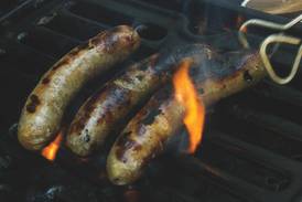 Celebrate Oktoberfest at Brookfield Zoo Sept. 23