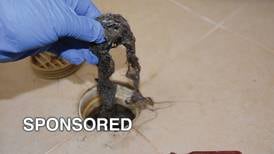 The Importance of Drain Cleaning and Maintenance