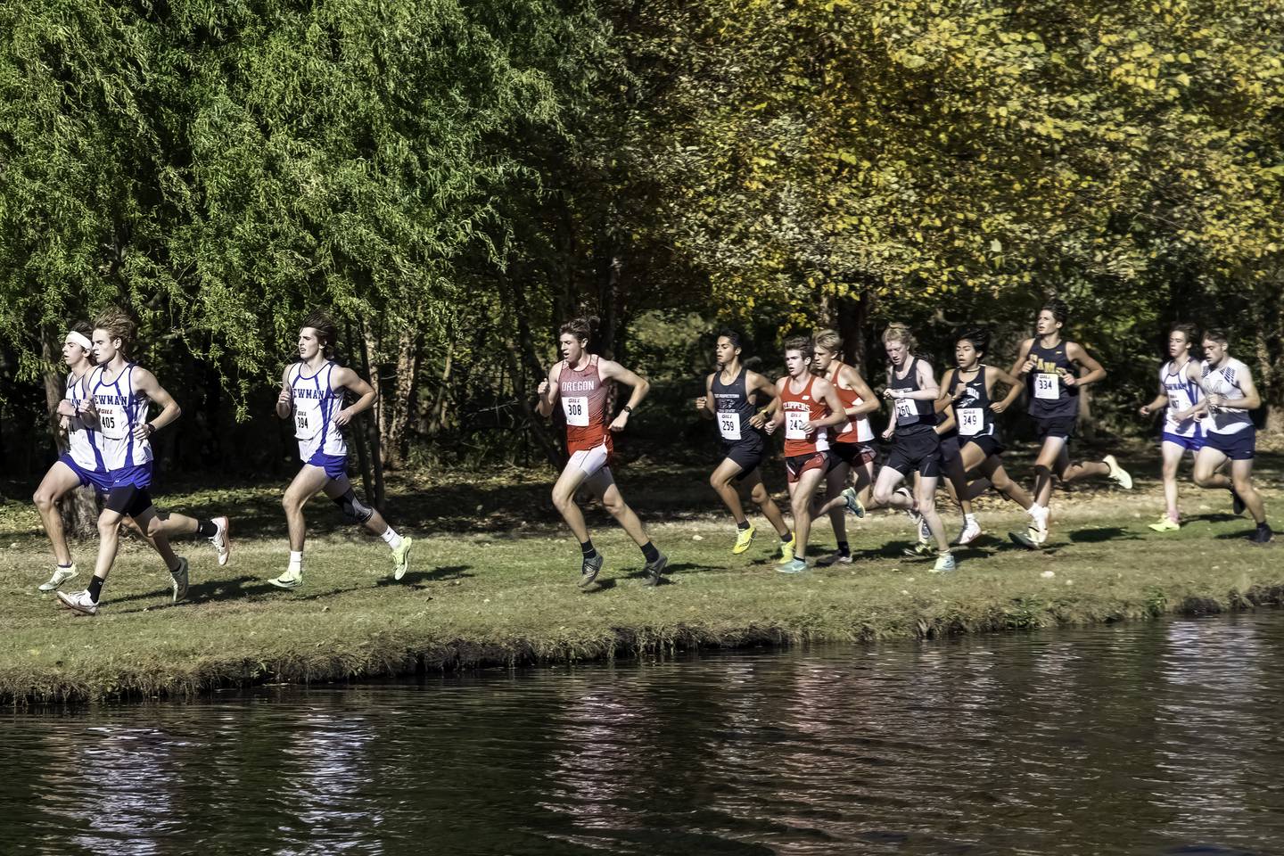 A group of area runners competes in the 1A Rock Falls Regional on Saturday morning at Centennial Park.