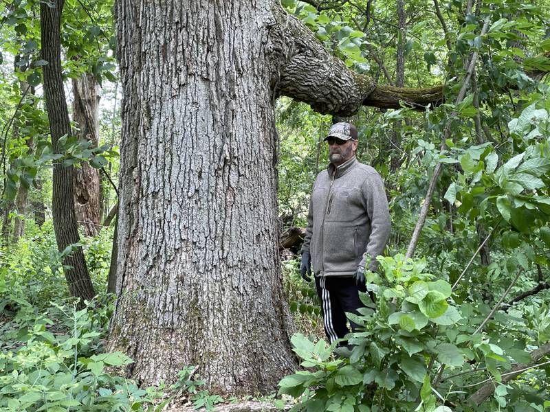 Geneva Township resident Brian Maher stands next to a burr oak he says is at least 300 years old. That tree and others are part of a 211-acre parcel proposed to be annexed and rezoned in Geneva.