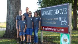 Grazing in the Brass in Stillman Valley