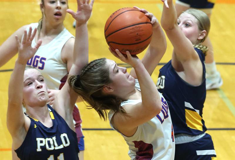 Genoa-Kingston's Sydney Hansen goes up for a shot between two Polo defenders during their game Monday, Jan. 29, 2024, at Genoa-Kingston High School.
