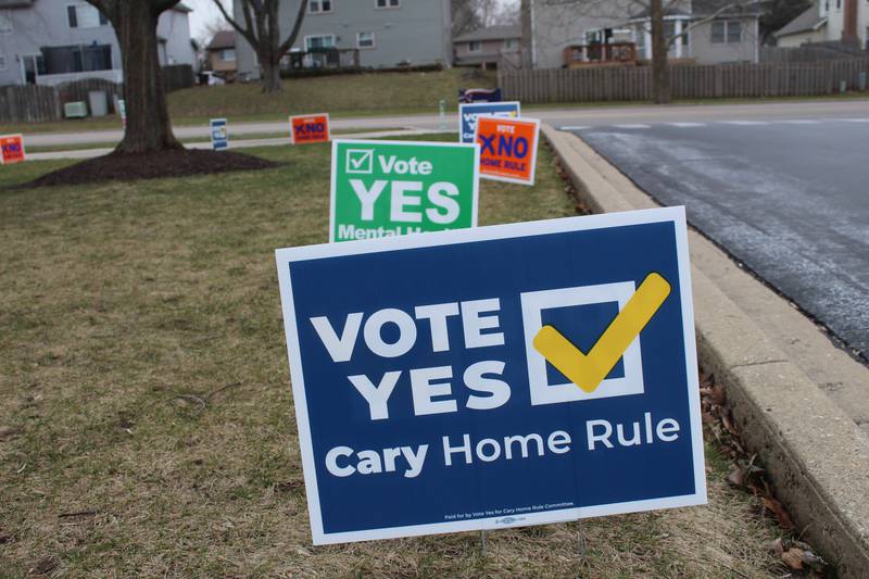 "Vote no" and "vote yes" home rule signs line up around the entrance of the Cary Area Library.