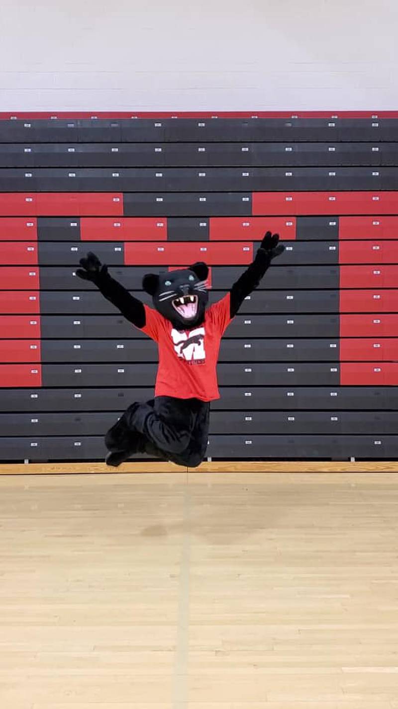 Paws, Marseilles Elementary School's mascot