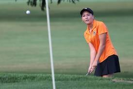 Daily Chronicle 2025 All-Area Golf Teams