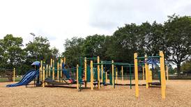 Grant to help add amenities at McCollum Park in Downers Grove