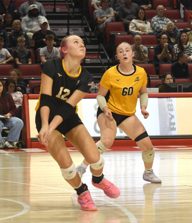Riverdale's Cayleigh Hungate (12) moves to receive a serve as Kamryn Kruger (60) watches during the 2A semifinal match with Central Catholic at the state volleyball tournament at Illinois State University on Friday, Nov. 14, 2025.