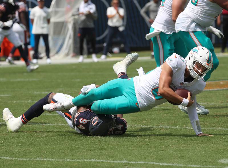 Chicago Bears defensive end Austin Booker sacks Miami Dolphins quarterback Zach Wilson Sunday, Aug. 10, 2025, during their preseason game against the Miami Dolphins at Soldier Field in Chicago.