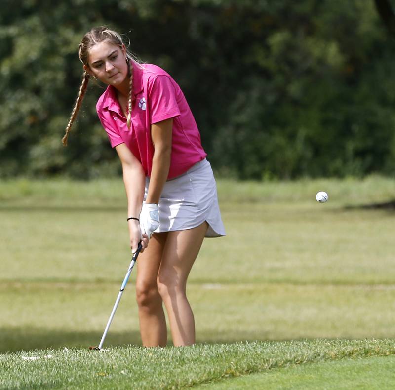 Hampshire’s Lorna Bachta chips onto the tenth green during the Fox Valley Conference Girls Golf Tournament Wednesday, Sept. 20, 2023, at Crystal Woods Golf Club in Woodstock.