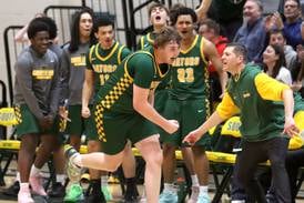 Crystal Lake South, Johnsburg boys basketball set for sectional semifinals