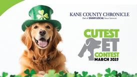 March 2025 Kane County’s Cutest Pet Contest