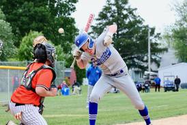 Photos: Kewanee at Princeton baseball