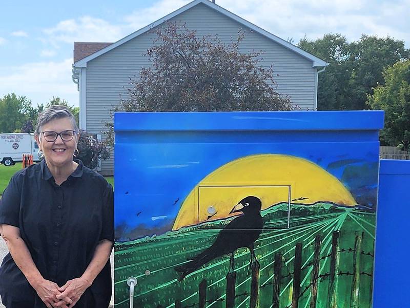 DeKalb artists plug into their creativity with utility box murals