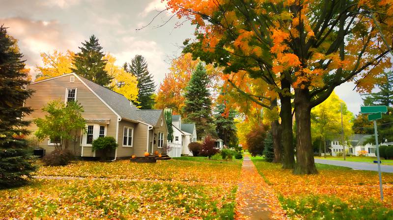 Countryside Flower Shop - Tips to get your yard ready for Fall