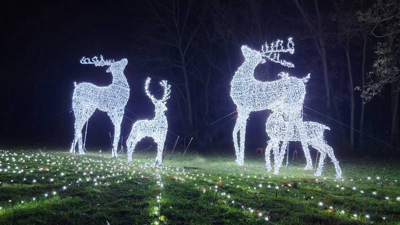 Illuminated holiday light shows, displays in Kane County