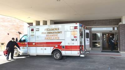 Flu cases rising in DeKalb County: What to know about this winter’s strain